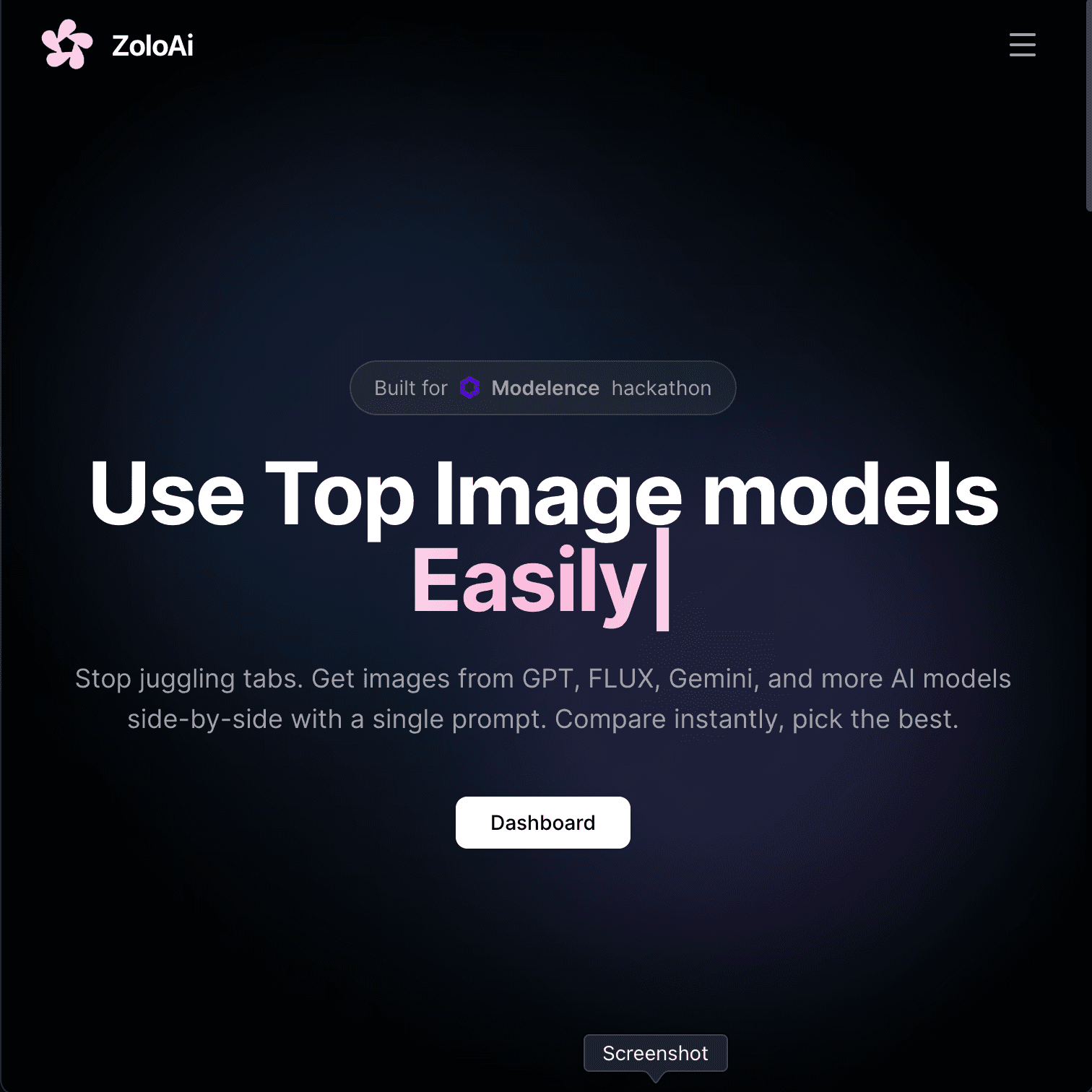 1st place project screenshot